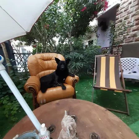 Espagnole Chambres Privées Maison Jardins à Dispo
